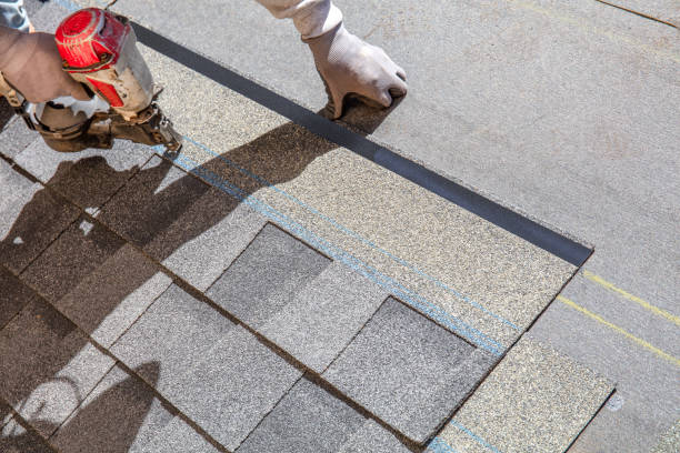 Best Roof Repair Services  in Shenandoah Junction, WV
